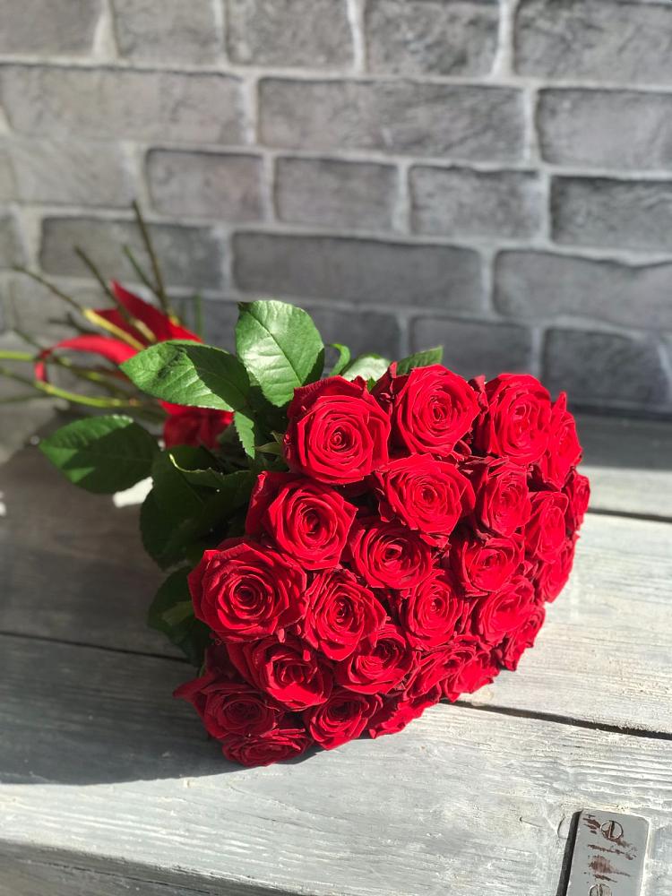 Букет Красные розы Фридом в Жирово