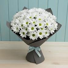 Букет цветов из:  Хризантемы #REPLACE_PRED# Жирово