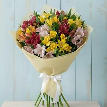 Букет цветов из:  Альстромерии #REPLACE_PRED# Жирово